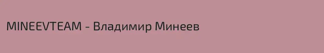 MINEEVTEAM - Владимир Минеев